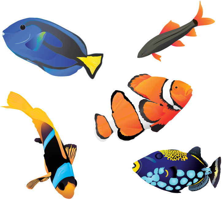 free vector Free Vector Fishes